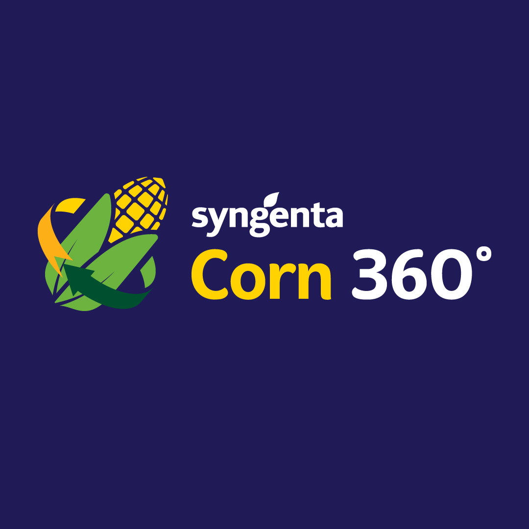 Syngenta Corn 360