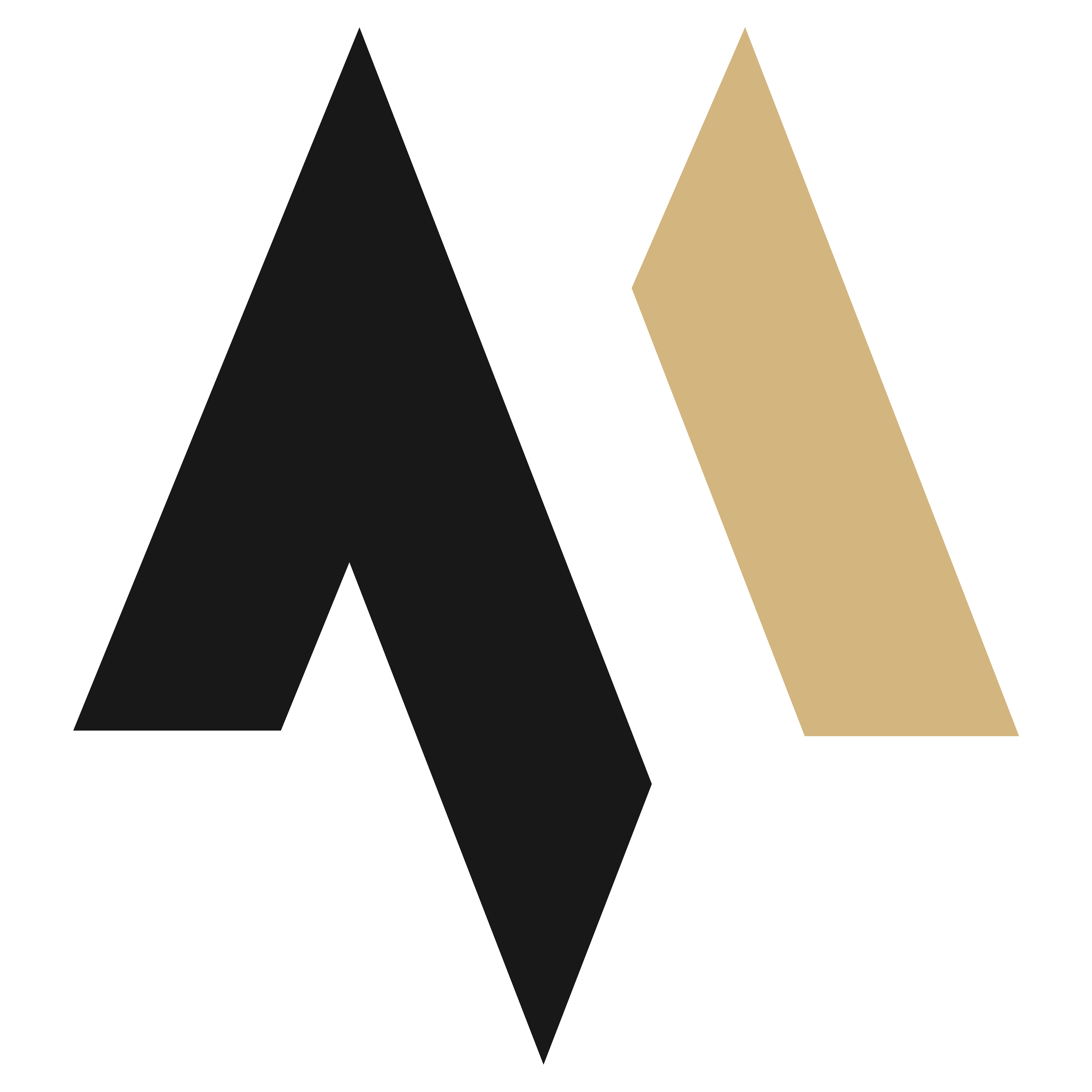 DENTAL CLINIC By Arch Ajdin Mecan Dental clinic by arch ajdin mecan